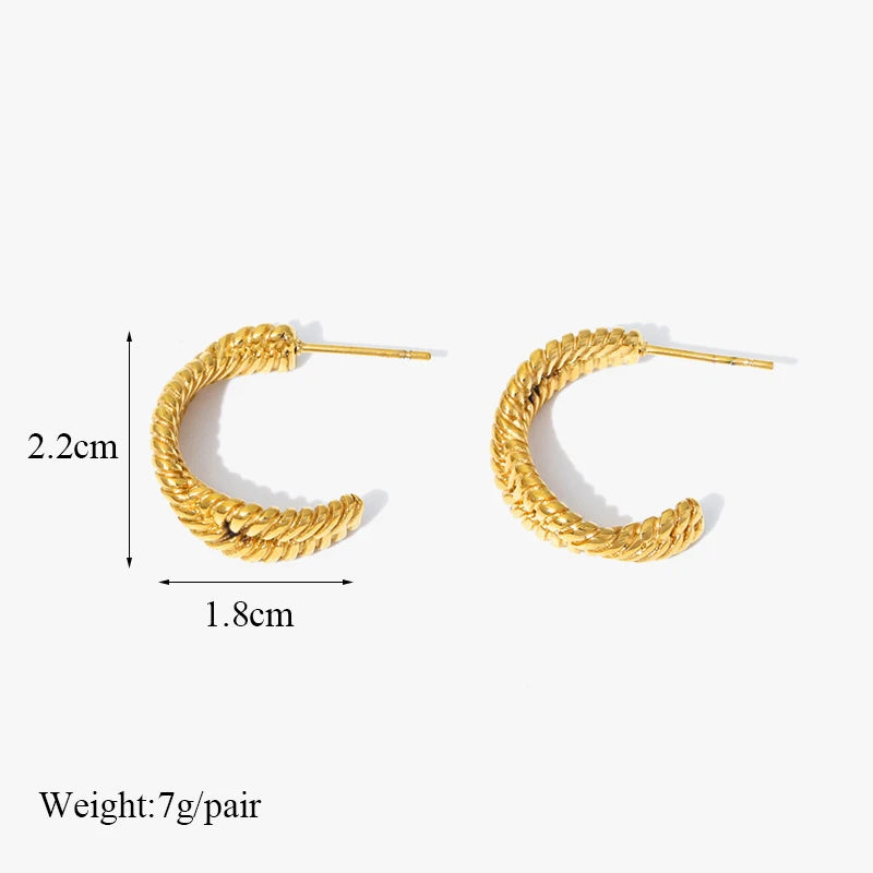 1007 Stainless Steel Gold Geometric Twist Earrings