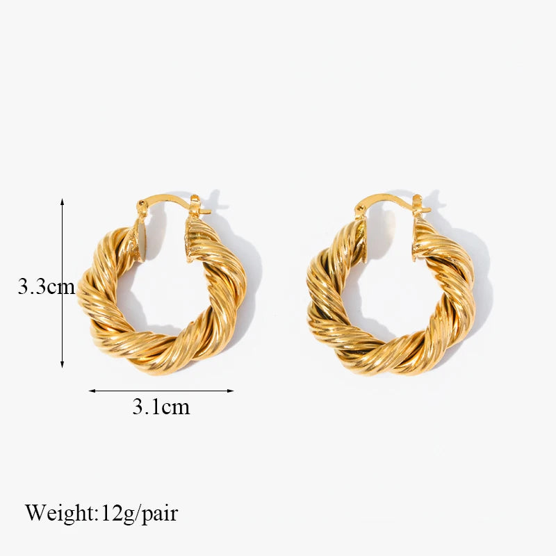 1007 Stainless Steel Gold Geometric Twist Earrings